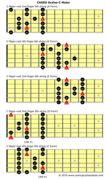 guitar scales pdf. To practice these scales (once